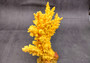 Yellow FAUX Branch Coral - Acropora Florida - (1 Fake Coral approx. 7Wx7Dx2T inches) Yellow fake coral on slate background. Copyright 2024 SeaShellSupply.com.