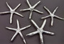 Silver Plated Real Linckia Starfish - (1 Seastar approx. 5+ inches) One silver plated star fish. Copyright 2024 SeaShellSupply.com