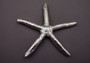 Silver Plated Real Linckia Starfish - (1 Seastar approx. 5+ inches) One silver plated star fish. Copyright 2024 SeaShellSupply.com