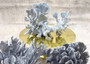 Blue Coral Cluster - Heliopora Coerula - (1 coral cluster 7-9 inches). Ash Blue with texture and a wide strong base. Copyright 2023 SeaShellSupply.com\n\n