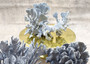 Natural Blue Ridge Coral Cluster (1 coral approx. 6.5-7.5+ inches) Real Blue Heliopora Coerulea Coral for coastal home accent or display!