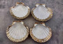 Silver-Plated Footed Scallop Shell Dish - Pilsbryochonchaetilis - (1 shell approx. 7 inches) One silver plated scallop shell dish with silver feet. Copyright 2024 SeaShellSupply.com
