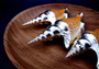 Silver-Plated Lister\'s Conch - Strombis Listeri - (1 Shell approx. 3-5 inches) One orange and white pointed, spiral, silver plated shell. Copyright 2022 SeaShellSupply.com.
