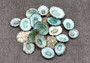 Green Limpet Seashells - Sutorria Mesoleuca - (approx. 20+ shells .5-1 inch)\nPile of small brown shell halves with greenish white interior.\nCopyright 2022 SeaShellSupply.com