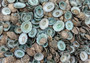 Green Limpet Seashells - Sutorria Mesoleuca - (approx. 20+ shells .5-1 inch)\nPile of small brown shell halves with greenish white interior.\nCopyright 2022 SeaShellSupply.com