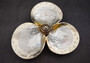 Silver-Plated Trio Footed Pearl Oyster Dish with Sundial - Pintada Maxima - (1 Shell Trio, approx. 8-10 inches) Copyright 2024 SeaShellSupply.com