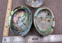 Paua Abalone Seashell Dish with Stand (1 shell approx. 5-5.5+ inches) Copyright 2024 SeashellSupply.com