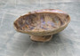Paua Abalone Seashell Dish with Stand (1 shell approx. 5-5.5+ inches) Perfect natural shell for any collection!