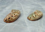Polished Red Abalone Seashell Haliotis Rufescens (2 shells approx. 1.5+ inches) Polished sea shell amazing for arts & crafts or décor! Brown ombre polished shells. Copy right 2024 SeaShellSupply.com
