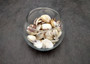 Speckled White Clam Shells - Clycymeris Pectunculus - (approx. 40-50 shells .75-1.5 inches) on dark grey background.  Copyright 2025 SeaShellSupply.com.