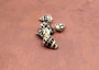 Small Hebrew Cone Seashells - Conus Ebraeus - (5 shells approx. .75-1 inches) White shells with black spots in a pile. Copyright 2025 SeaShellSupply.com.