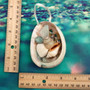 Abalone Frosted Sea Glass Ornament (1 star approx. 3-4 inches) on green background. Copyright 2025 SeaShellSupply.com.