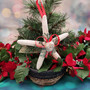 White Starfish Christmas Ornament for Coastal Tree (1 Seastar approx. 4+ inches) Hanging Starfish Xmas Ornament for gifting & holiday decor! Copyright 2025 SeaShellSupply.com.