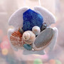 Sand Dollar Xmas Ornament Plus Shells Seaglass (1 shell approx. 3-4+ inches) Christmas Sanddollar Ornament for seashell holiday gift joy!
