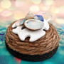 Sand Dollar Xmas Ornament Plus Shells Seaglass (1 shell approx. 3-4+ inches) Christmas Sanddollar Ornament for seashell holiday gift joy!