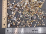 Ocean Mix Tiny Seashells (approx. 750-800 shells .25-.625 inches). Multiple colored shells with different patterns in an intricate pile. Copyright 2025 SeaShellSupply.com.