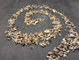 Tiny Seashell Assorted Ocean Mix For Crafts (approx. 1 cup +/-750 shells 0.25+ inches) Tiny Bulk Mixed Shells for coastal arts & crafts!