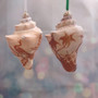 Carved Conch Seashell Christmas Ornament (2 shells approx. 2+ inches) Beautiful Conch Shell Xmas Ornament for holiday gifting!