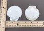 Small Scallop Baking Dish Seashells -  8 shells approx. 2-2.5 inches on dark background. Copyright 2022 SeaShellSupply.com.