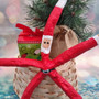 Red Linckia Starfish Santa Claus Ornament (1 sea star approx. 10-11+ inches) Painted Santa Claus Starfish For Coastal Beach Christmas
