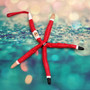 Red Linckia Starfish Santa Claus Ornament (1 sea star approx. 10-11+ inches) Painted Santa Claus Starfish For Coastal Beach Christmas