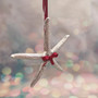 Silver Dipped Starfish Xmas Ornament (1 seastar approx. 5+ inches) Real Starfish Silver Christmas Ornament for seashell holiday gifting joy! Copyright 2025 SeaShellSupply.com.