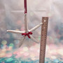 Silver Dipped Starfish Xmas Ornament (1 seastar approx. 5+ inches) Real Starfish Silver Christmas Ornament for seashell holiday gifting joy!