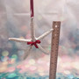Silver Dipped Starfish Xmas Ornament (1 seastar approx. 5+ inches) Real Starfish Silver Christmas Ornament for seashell holiday gifting joy! Copyright 2025 SeaShellSupply.com.