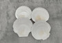 Irish Deep Baking Scallop Seashells - Pecten Yessoensis - (4 shells approx. 4+ Inches). Four white ribbed shells laid out together. Copyright 2022 SeaShellSupply.com.
