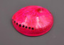 Polished Hot Neon Pink Midas Abalone - Haliotis Midae - (1 shell approx. 5-6 inches). One pink spiral glazed shell with wide opening and small spiral off to one side. Copyright 2022 SeaShellSupply.com.