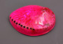 Polished Hot Neon Pink Midas Abalone - Haliotis Midae - (1 shell approx. 5-6 inches). One pink spiral glazed shell with wide opening and small spiral off to one side. Copyright 2022 SeaShellSupply.com.