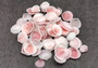 Light Pink Tellin Seashell Rose Petal Halves (approx. 0.25 cup 20+ shells 0.75+ inches) Copyright 2024 SeaShellSupply.com.