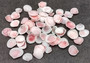 Light Pink Rose Tellin Halves (65+ shells approx. quarter+ inches). Light pink shells in a pile. Copyright 2022 SeaShellSupply.com.