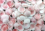 Light Pink Tellin Seashell Rose Petal Halves (approx. 65+ shells .25+ inches) Rose Pink White Sea Shells for home crafts & art projects!