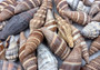 Assorted Miter Seashells Brown Striped (approx. 10+ shells 1.25+ inches) Quality natural sea shells for art crafts & collecting! SeaShellSupply.com