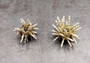 Green Sputnik Sea Urchin with Spines Plococidaris Verticillata (2 urchins approx. 1.5+ inches) Green Urchin Shell for display & collecting! (TE-228) Copyright 2024 SeaShellSupply.com