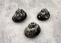 West Indian Top Shell or Magpie Seashells Striped Cittarium Pica (3 shells approx. 1.25+ inch) - B Grade SS-037 Copyright 2024 SeaShellSupply.com.