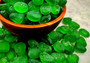Beach Sea Glass Rounded Green Frosted Tumbled Pebbles (approx. 10 lbs. 1-1.5 inch). Green Beach Glass pebbles. Copyright 2025 SeaShellSupply.com.