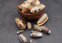 Light Olive Shell Assortment (Half cup approx. 20+ shells 1-2 inches). An assortment of approximately 20 light olive, brown and white shells. Copyright 2024 SeaShellSupply.com