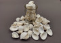 White Ark Clam Seashells Tegillarca Granosa (approx. 20+ shells 1+ inches). An assortment of small white clam shells. Copyright 2024 SeaShellSupply.com.