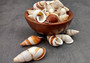 Assorted Landsnails White Brown Stripes Dolichostyla Porracea (5 shells approx. 1.5+ inches). Five white conical snail shells with brown spiral stripes. Copyright 2022 SeaShellSupply.com.