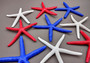 Red, white and blue Linckia Starfish (3 seastar approx. 5-6 inches) Copyright 2024 SeaShellSupply.com.