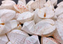 White Spotted Heart Seashells Cardium Fragum Heart (5 shells approx 1.5+ inches). Set of five white and off-white dappled heart shaped shells. Copyright 2024 SeaShellSupply.com.