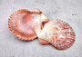 Cloak Scallop Pecten Seashell Pairs Pecten Pallium (3 pairs approx. 2+ inches). Purple, white and orange  scallop shell pairs. Copyright 2024 SeashellSupply.com
