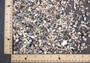 Extra Tiny Seashell Assorted Ocean Mix For Crafts (approx. 1 Kilogram 0.25+ inches). Copyright 2025 SeaShellSupply.com