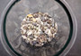 Extra Tiny Seashell Assorted Ocean Mix For Crafts (approx. 1 Kilogram 0.25+ inches). Copyright 2025 SeaShellSupply.com