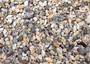 Extra Tiny Seashell Assorted Ocean Mix For Crafts (approx. 1 Kilogram 0.25+ inches). Copyright 2025 SeaShellSupply.com