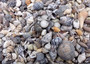 Extra Tiny Seashell Assorted Ocean Mix For Crafts (approx. 1 Kilogram 0.25+ inches). Copyright 2025 SeaShellSupply.com