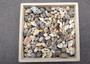 Extra Tiny Seashell Assorted Ocean Mix For Crafts (approx. 1 Kilogram 0.25+ inches). Copyright 2025 SeaShellSupply.com