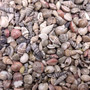 Extra Tiny Seashell Assorted Ocean Mix (approx. 1 kilogram shells 0.25+ inches) Very Small Shell Assortment for ocean art crafts & decor! Copyright 2026 SeaShellSupply.com.